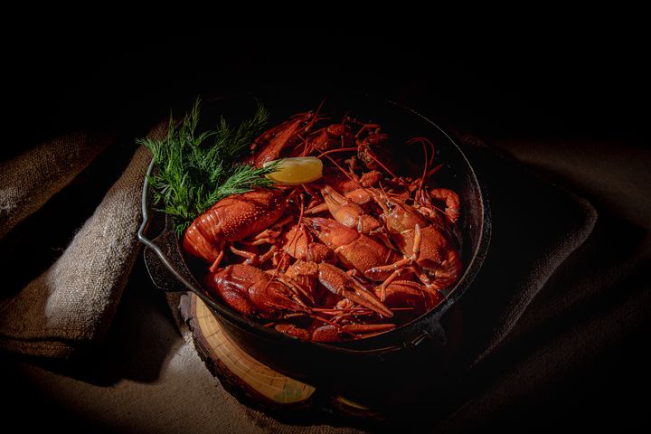 Особое предложение для тех, кто впервые в SIBERIA 